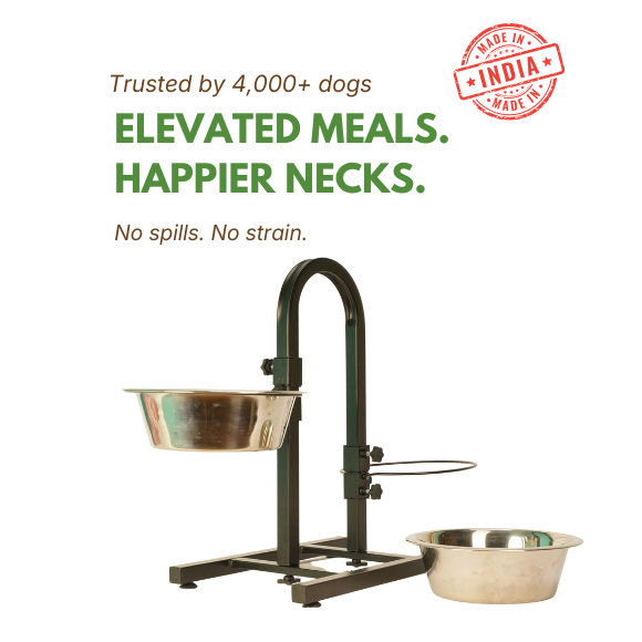 Heavy U Diner + 2 Bowls Set