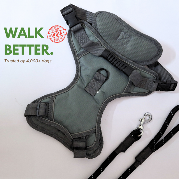 Adjustable Dog Harness