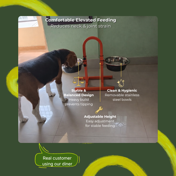 Heavy U Diner + 2 Bowls Set