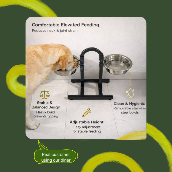 Heavy U Diner + 2 Bowls Set