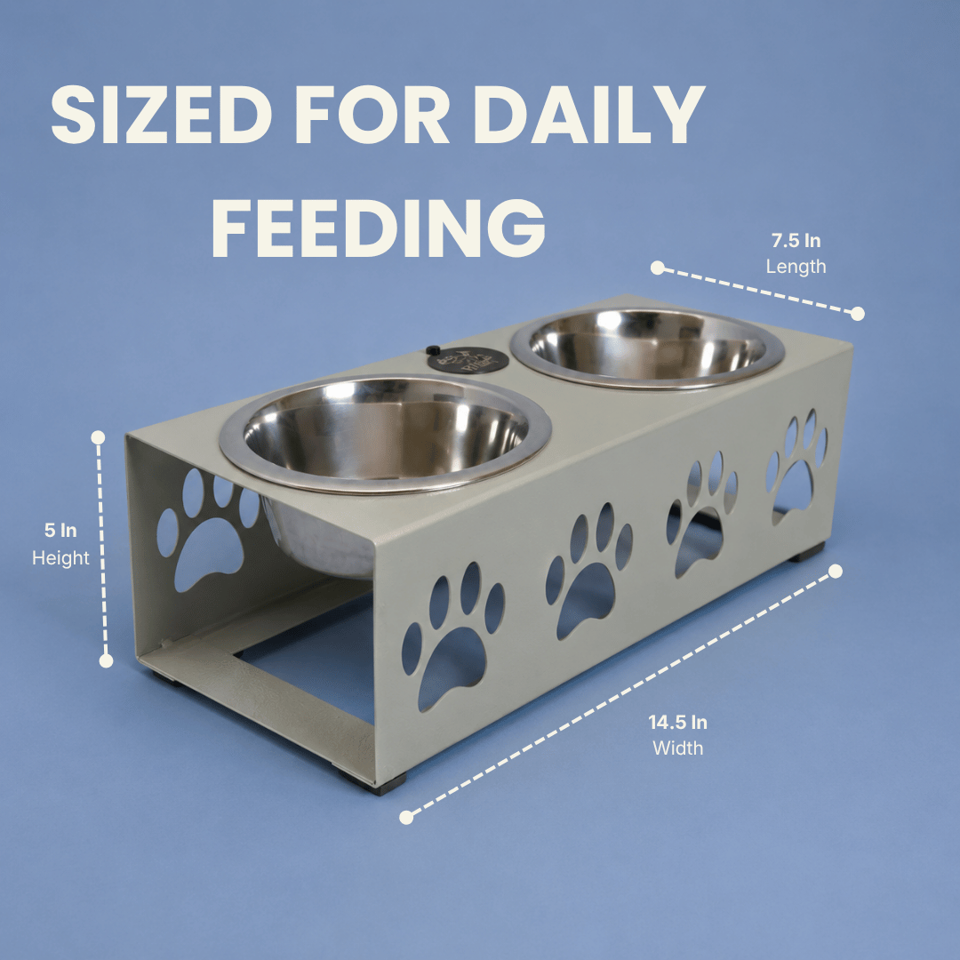 Mini Feeding Stand for Dogs & Cats