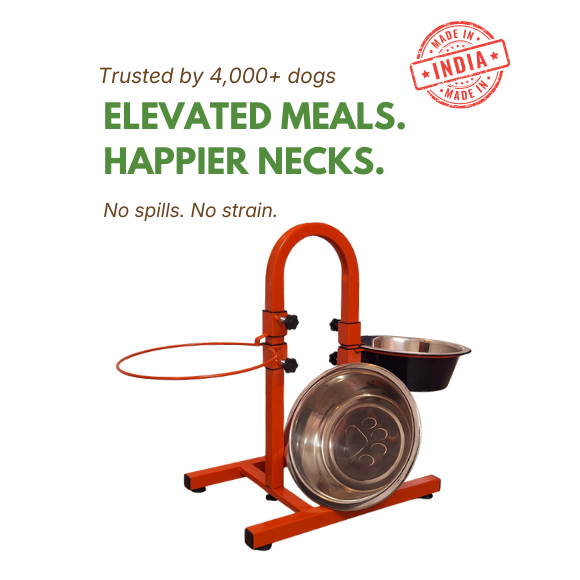 Ember Series Elevated Bed + U-Shaped Adjustable Double Diner Set