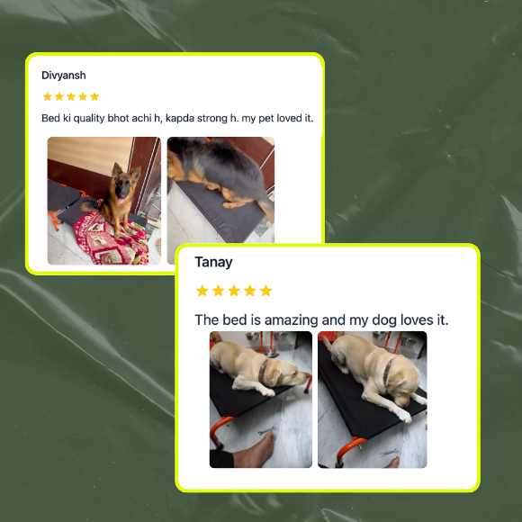 Ember Series Elevated Bed + U-Shaped Adjustable Double Diner Set