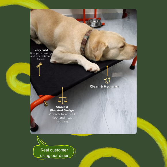 Ember Series Elevated Bed + U-Shaped Adjustable Double Diner Set