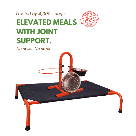 Ember Series Elevated Bed + U-Shaped Adjustable Double Diner Set