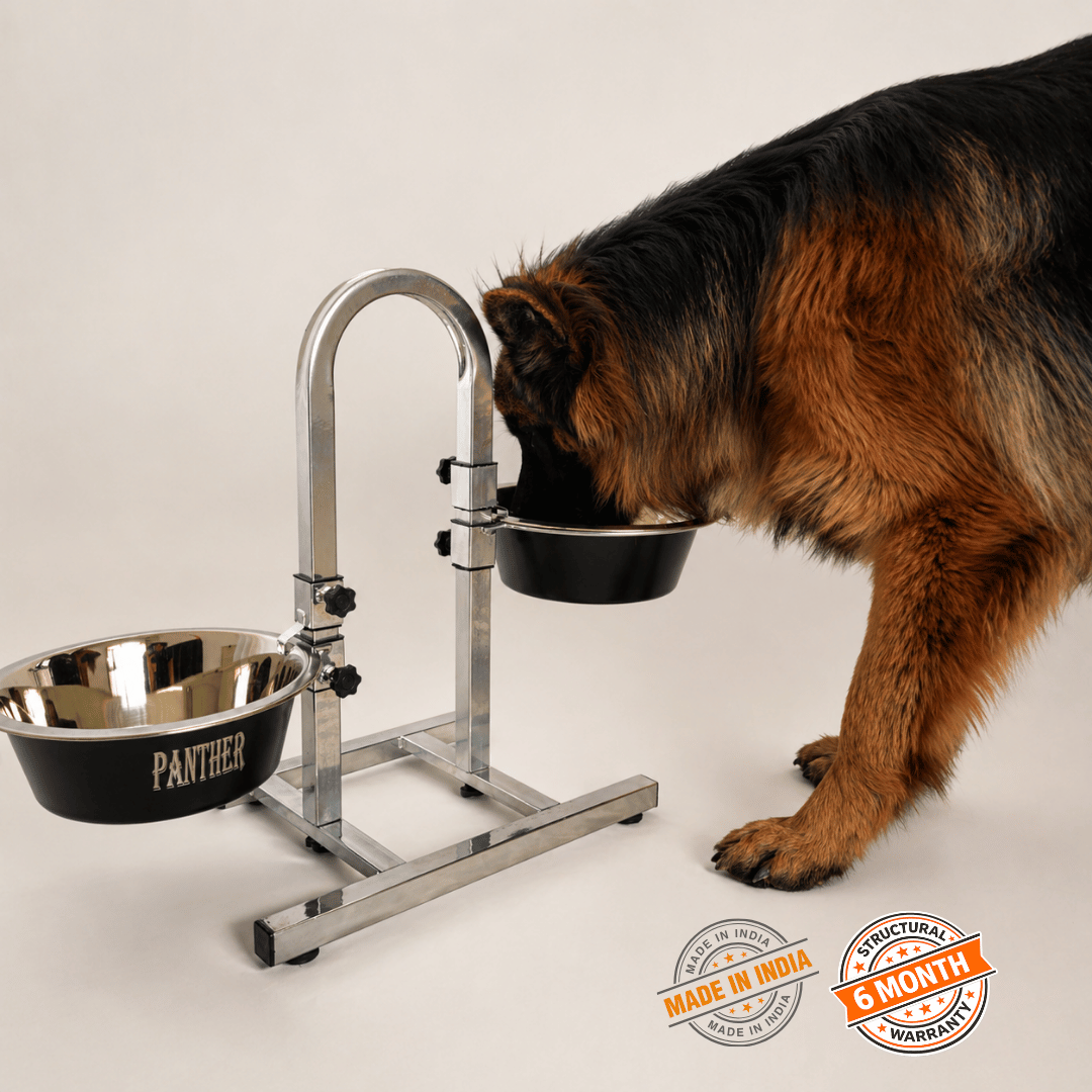 German Shepherd eating from an adjustable elevated dog food stand with stainless steel bowls designed for comfortable large breed feeding and better posture support.