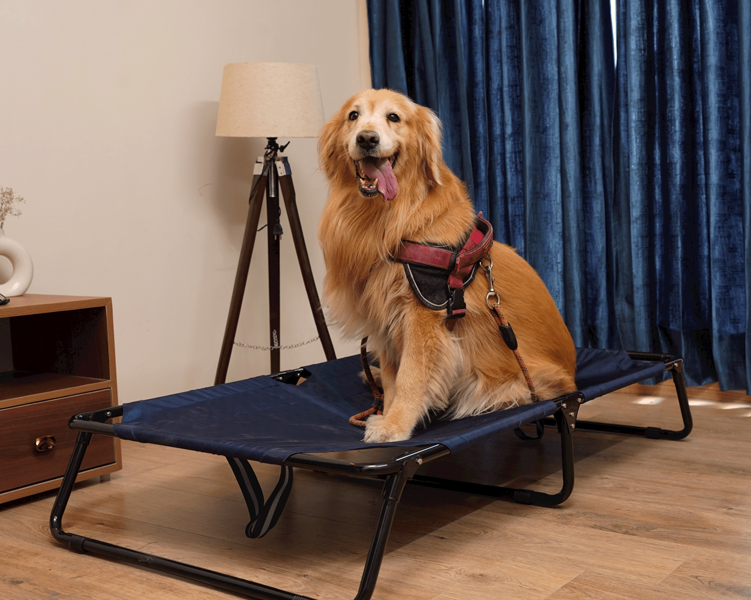 Elevated foldable dog bed with durable frame and military-grade washable fabric, offering tick protection and comfort for Labradors, German Shepherds, rottweilers and Indie dogs | Heavy-duty travel-friendly dog bed
#size_48inch-x-30inch-x-9inch