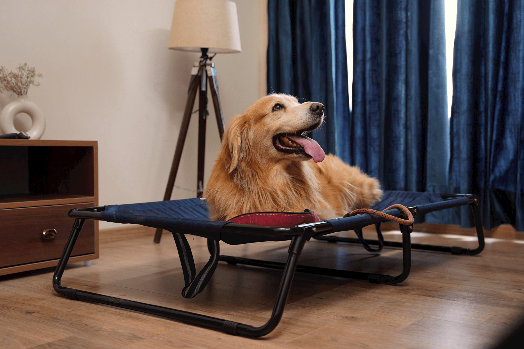 Elevated foldable dog bed with durable frame and military-grade washable fabric, offering tick protection and comfort for Labradors, German Shepherds, rottweilers and Indie dogs | Heavy-duty travel-friendly dog bed
#size_48inch-x-30inch-x-9inch