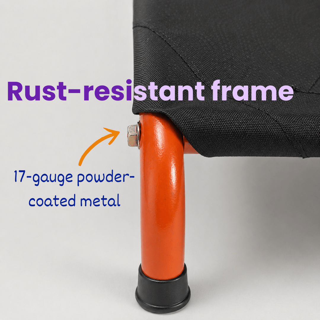 Chew-Resistant Elevated Dog Bed