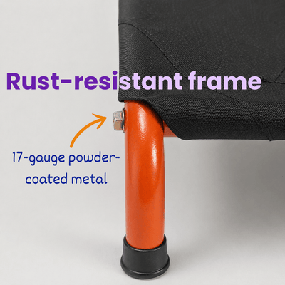 Chew-Resistant Elevated Dog Bed