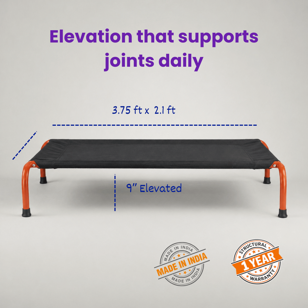 Chew-Resistant Elevated Dog Bed