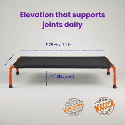 Chew-Resistant Elevated Dog Bed