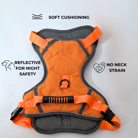 Adjustable Dog Harness