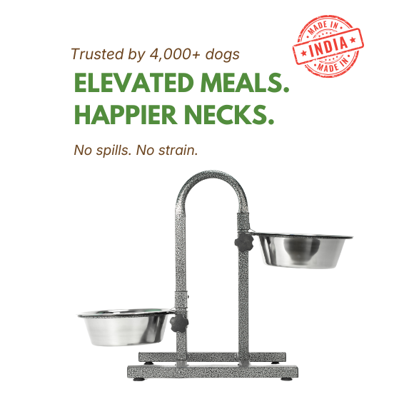 Heavy U Diner + 2 Bowls Set