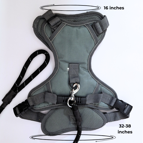 Adjustable Dog Harness