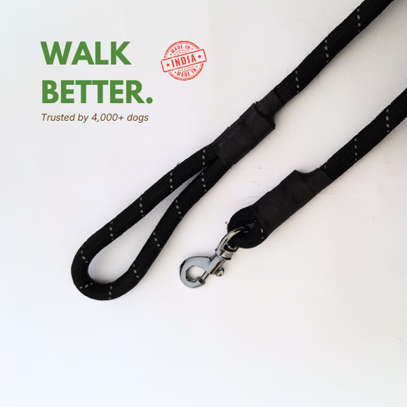 Heavy-Duty Rope Dog Leash