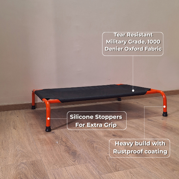 Elevated Dog Bed (Supports Upto 100kgs)