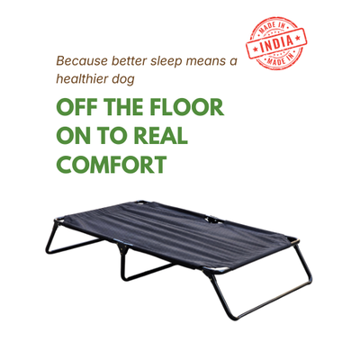 Chew-Resistant Foldable Elevated Dog Bed