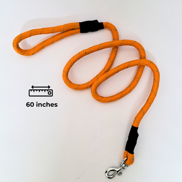 Heavy-Duty Rope Dog Leash