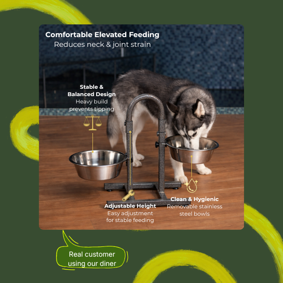 Heavy U Diner + 2 Bowls Set