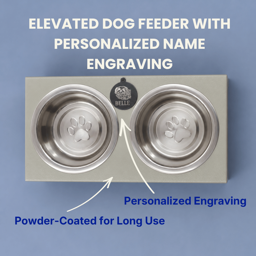 Mini Feeding Stand for Dogs & Cats