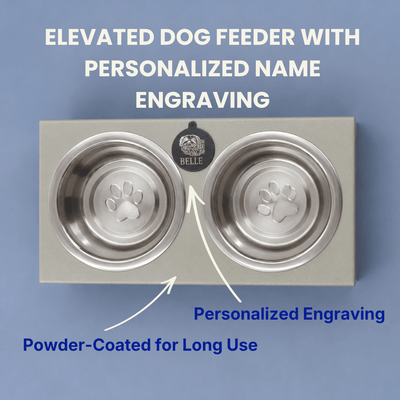 Mini Feeding Stand for Dogs & Cats