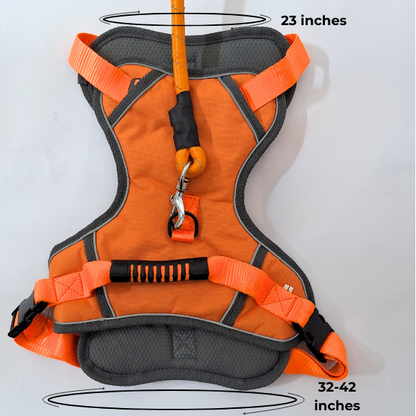 Adjustable Dog Harness