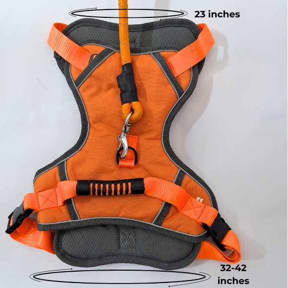 Adjustable Dog Harness