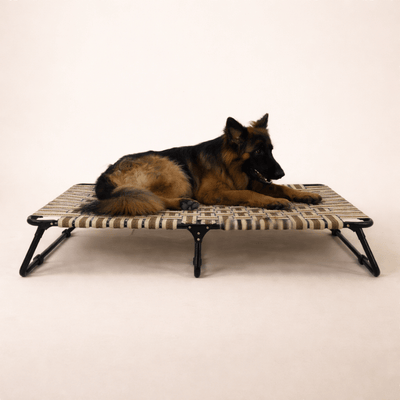 FlexWeave Cooling Foldable Dog Bed