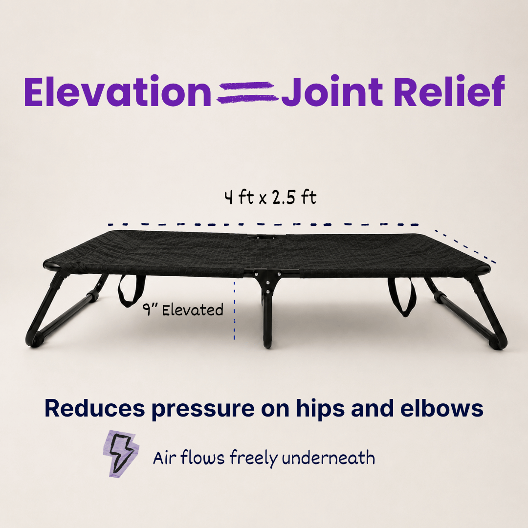 Chew-Resistant Foldable Elevated Dog Bed