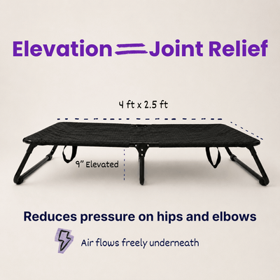 Chew-Resistant Foldable Elevated Dog Bed