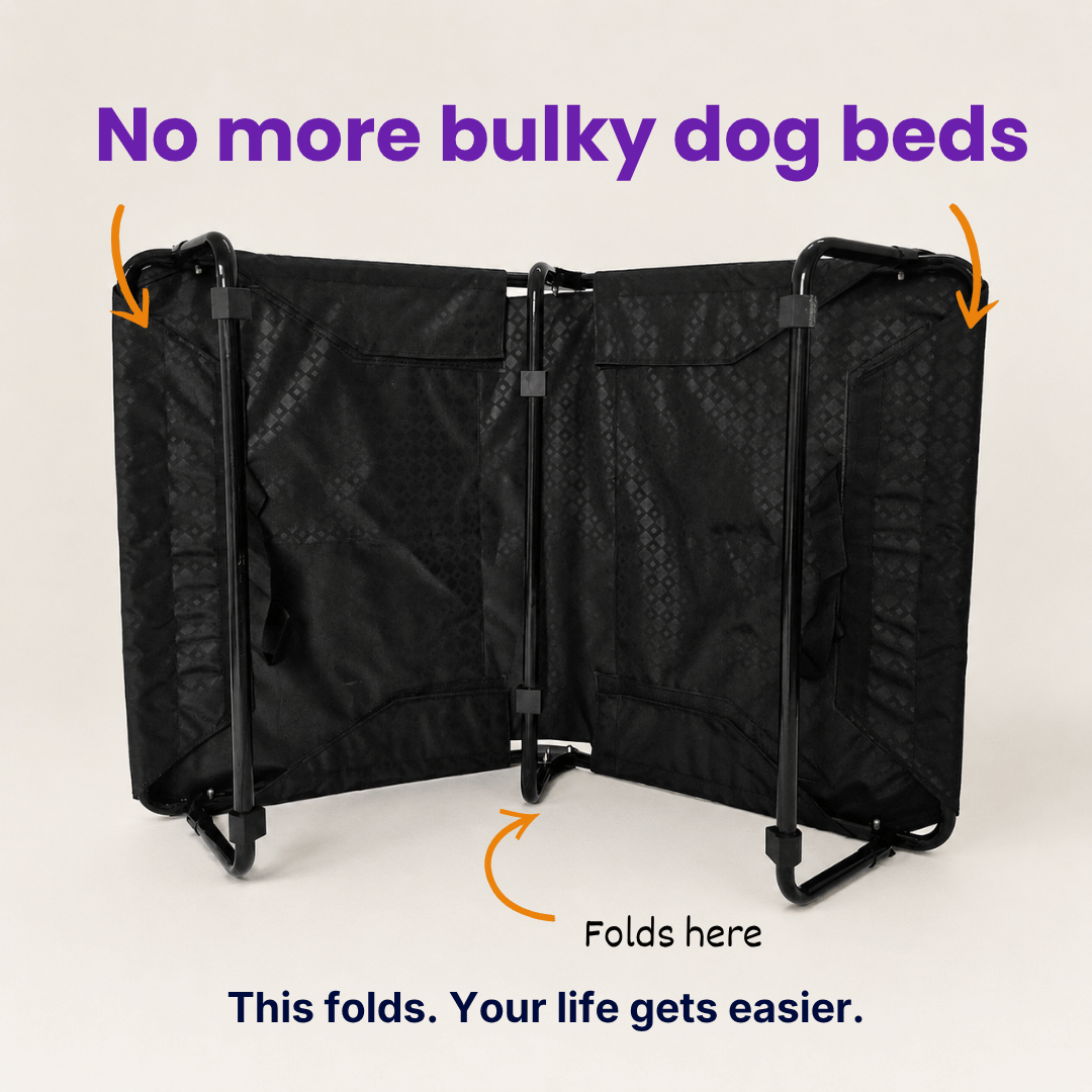 Chew-Resistant Foldable Elevated Dog Bed