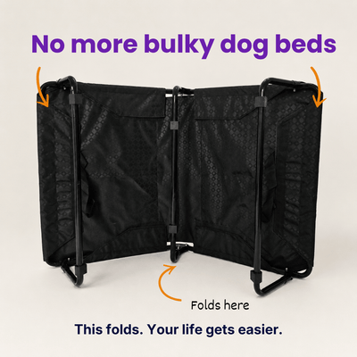 Chew-Resistant Foldable Elevated Dog Bed