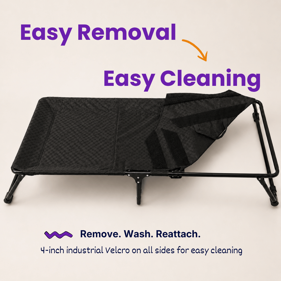 Chew-Resistant Foldable Elevated Dog Bed