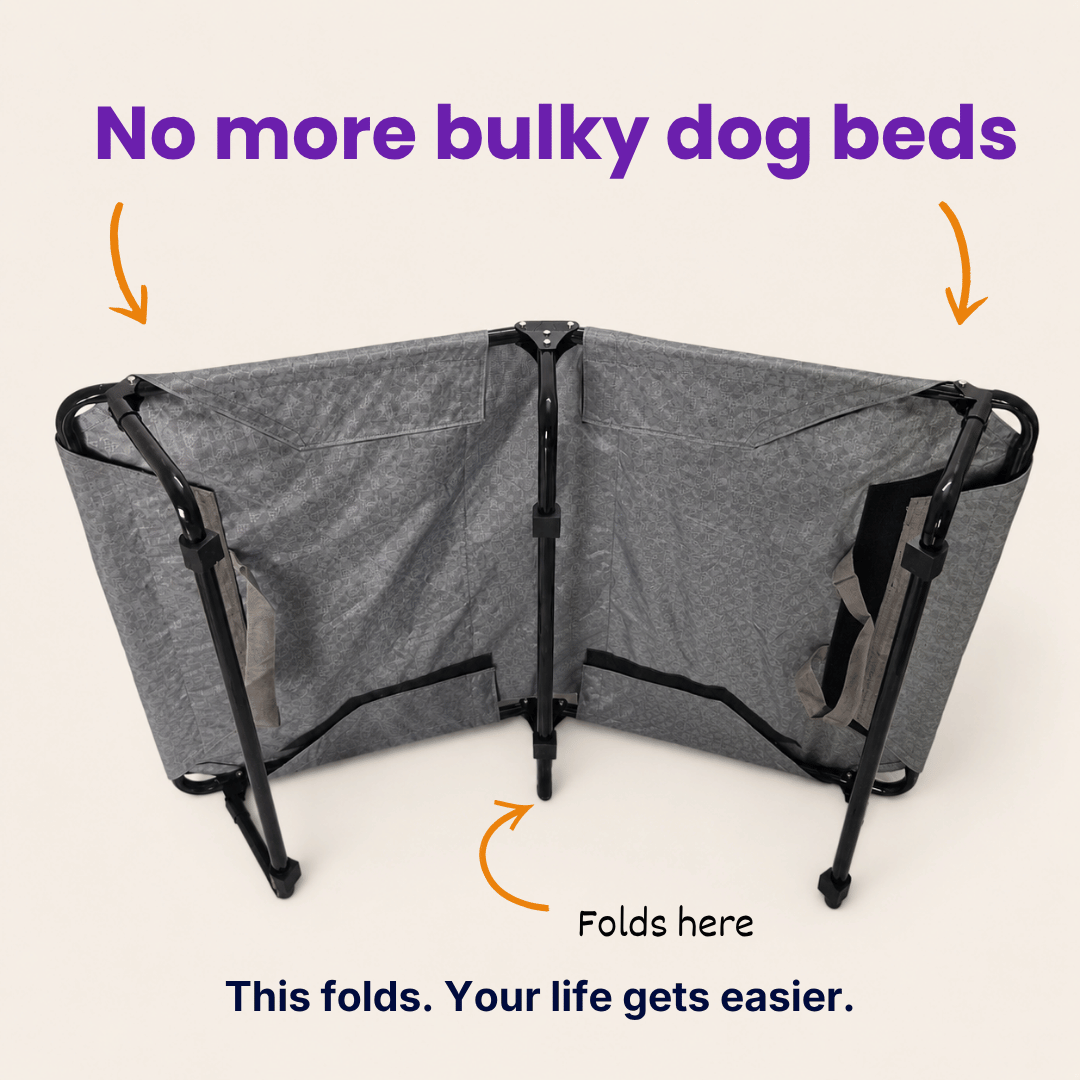 Chew-Resistant Foldable Elevated Dog Bed