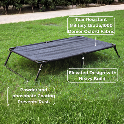 Chew-Resistant Foldable Elevated Dog Bed
