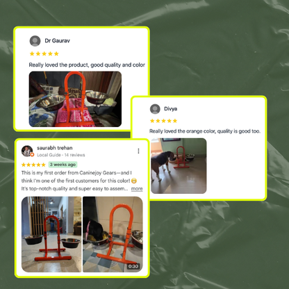 Ember Series Elevated Bed + U-Shaped Adjustable Double Diner Set