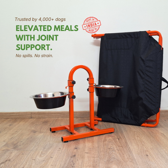 Ember Series Foldable Elevated Bed + U-Shaped Adjustable Double Diner