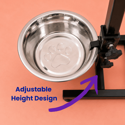 Close-up of a black adjustable dog food stand with stainless steel bowl and height adjustment knobs designed for comfortable feeding and better posture support.