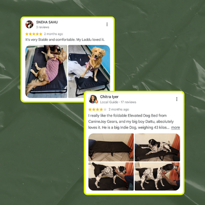 Chew-Resistant Foldable Elevated Dog Bed