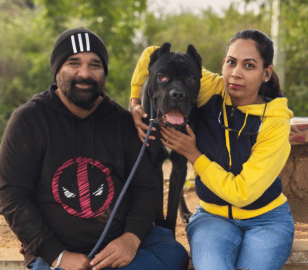 Cane Corso sitting outdoors with pet parents after training beside a heavy-duty elevated dog bed designed for durable comfort and large breed support.